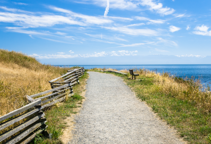 gravel walkway next to the ocean