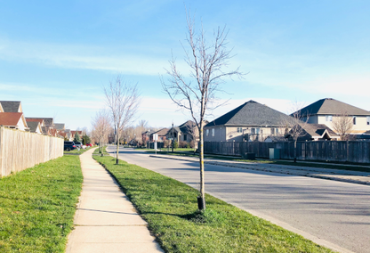 neighborhood view from sidewalk with bare trees