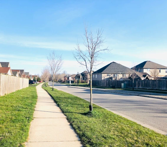 neighborhood view from sidewalk with bare trees